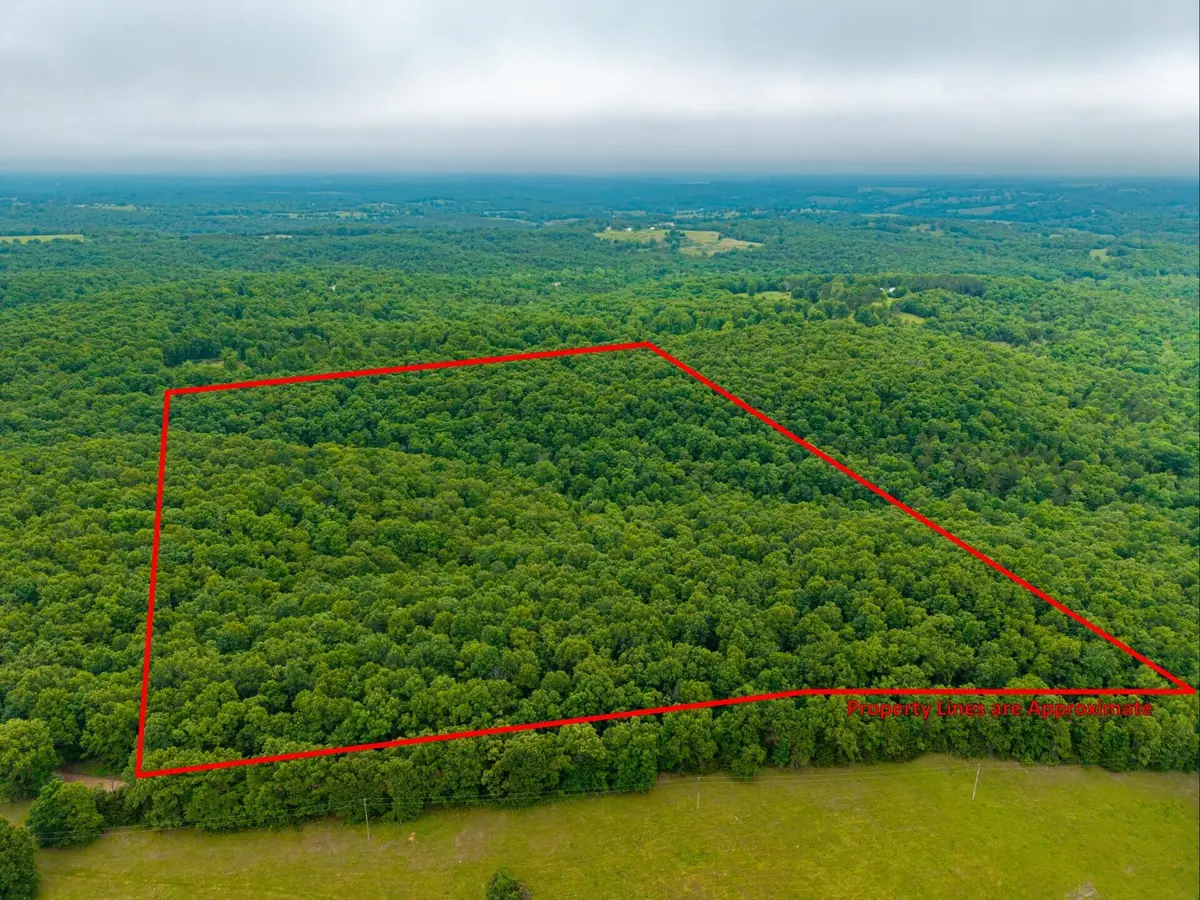 000 Co Rd 519 #Tract 2, Hardenville, MO 65666 - #1