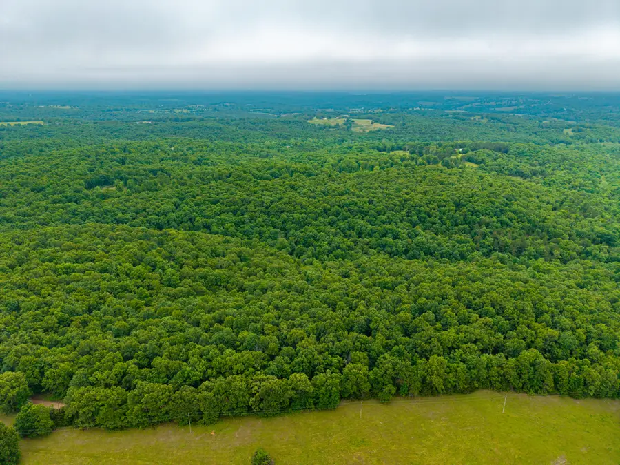 000 Co Rd 519 #Tract 2, Hardenville, MO 65666 - #2