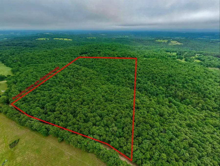 000 Co Rd 519 #Tract 2, Hardenville, MO 65666 - #3