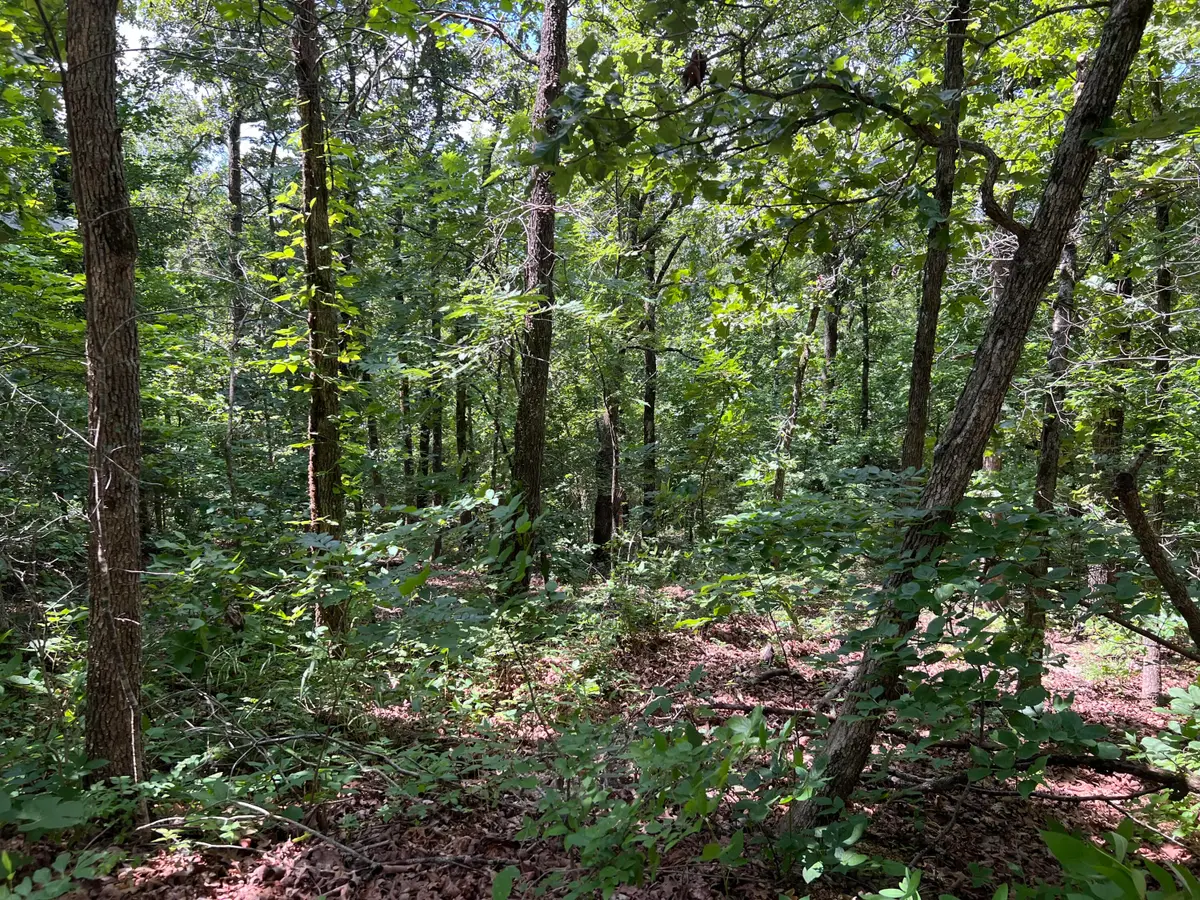 000 Pr Off Ridge Haven, Mammoth Spring, AR 72554 - #1