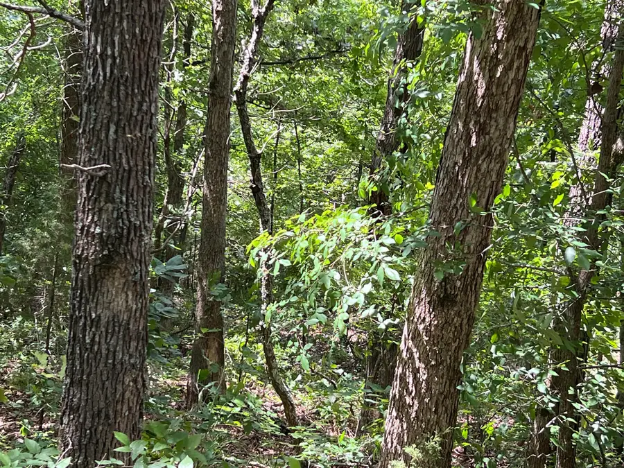 000 Pr Off Ridge Haven, Mammoth Spring, AR 72554 - #3