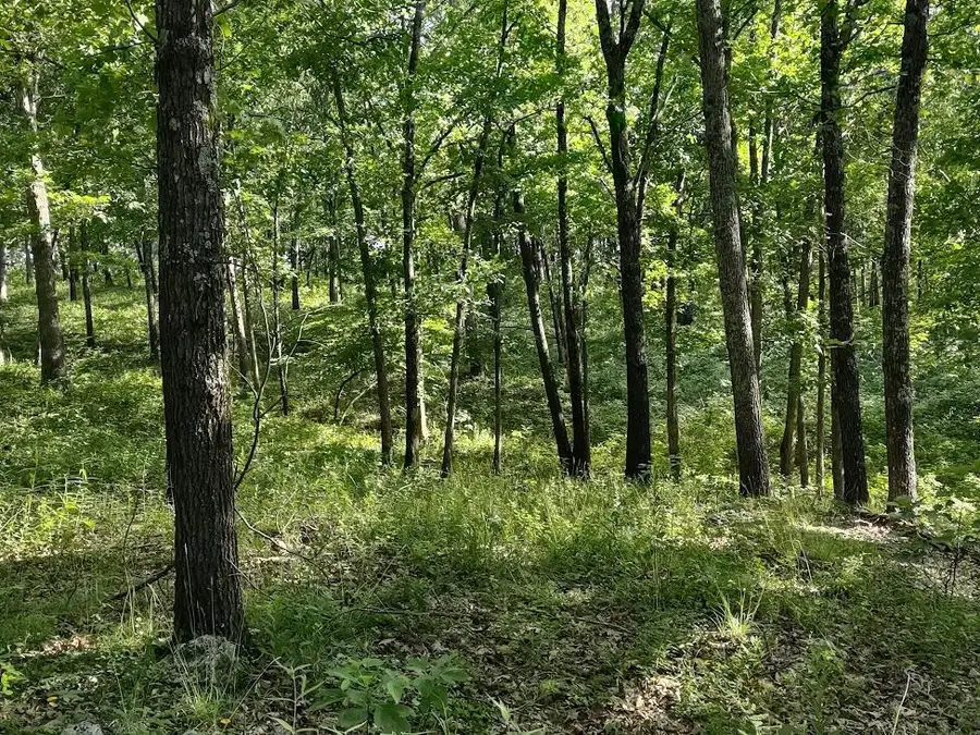 36501 Mohave Drive, Eldridge, MO 65463 - #2