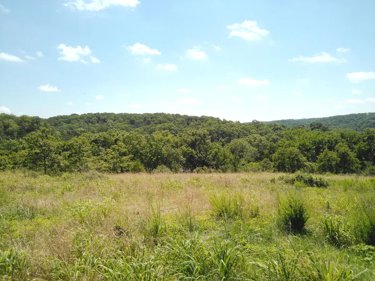 1029 Bear Hollow Road, Pineville, MO 64856 - #1
