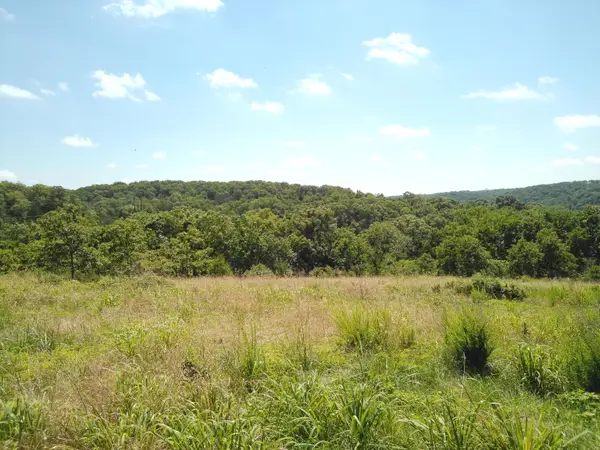 1029 Bear Hollow Road, Pineville, MO 64856