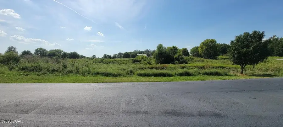 000 County Road 192 Lot 39, Carthage, MO 64836 - #2
