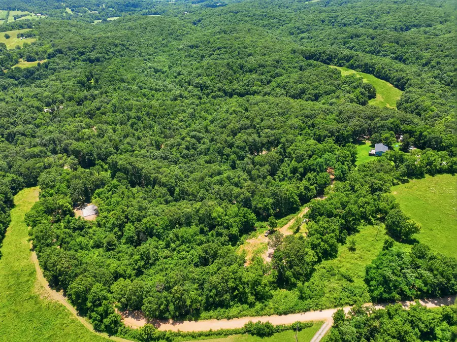 989 Schlessman Road, Anderson, MO 64831 - #3