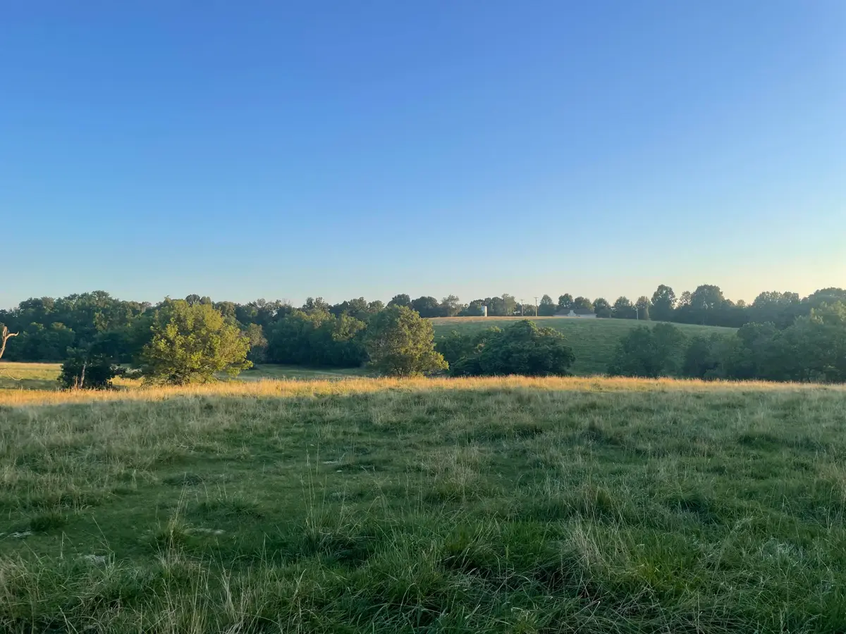 000 S Highway 160, Highlandville, MO 65669 - #1