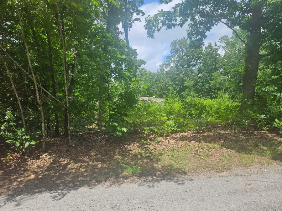 000 Woodruff Street, Mountain View, MO 65548 - #3