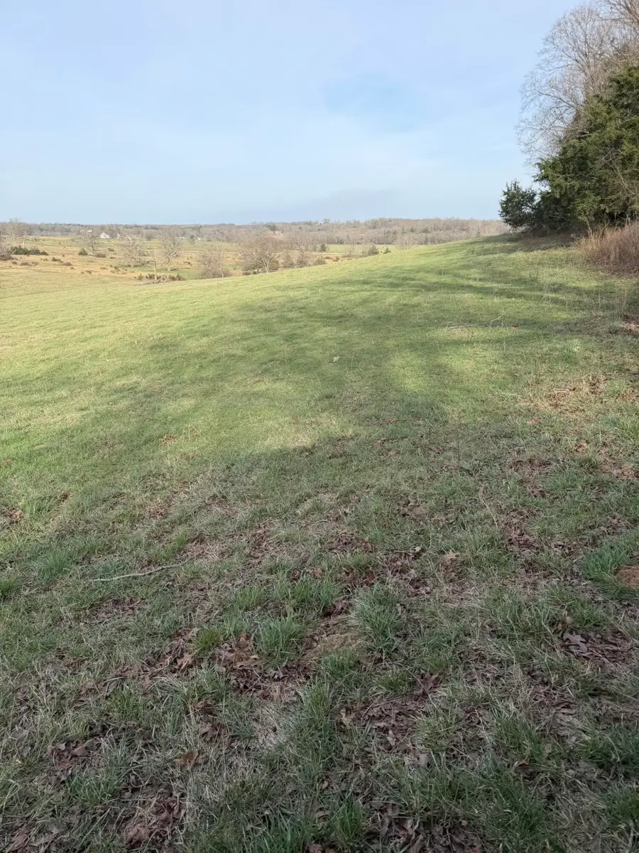 14658 County Road 7430, Caulfield, MO 65626 - #3