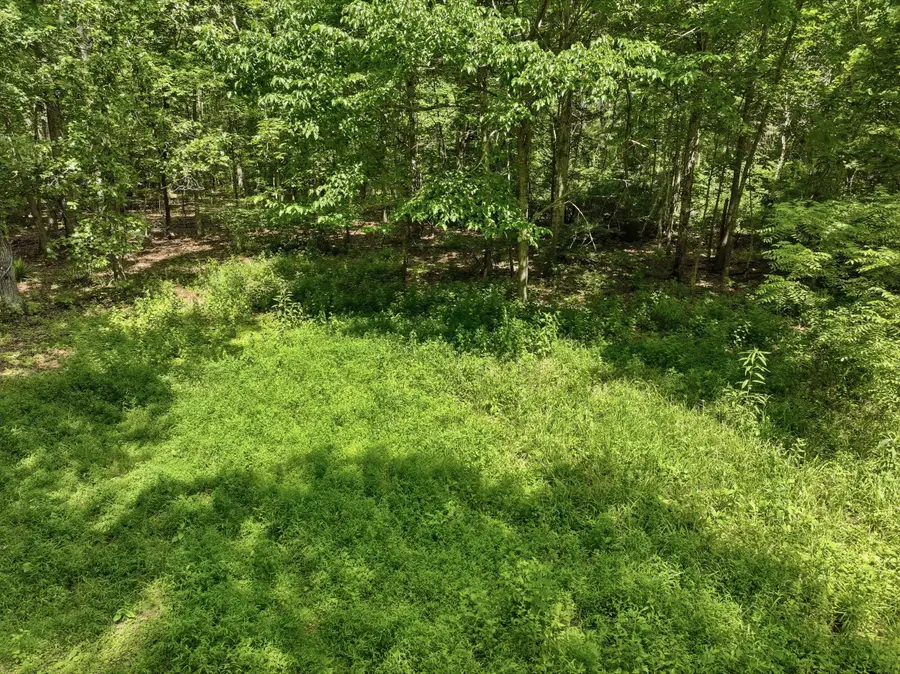 000 Barn Hollow Drive, Mountain View, MO 65548 - #3