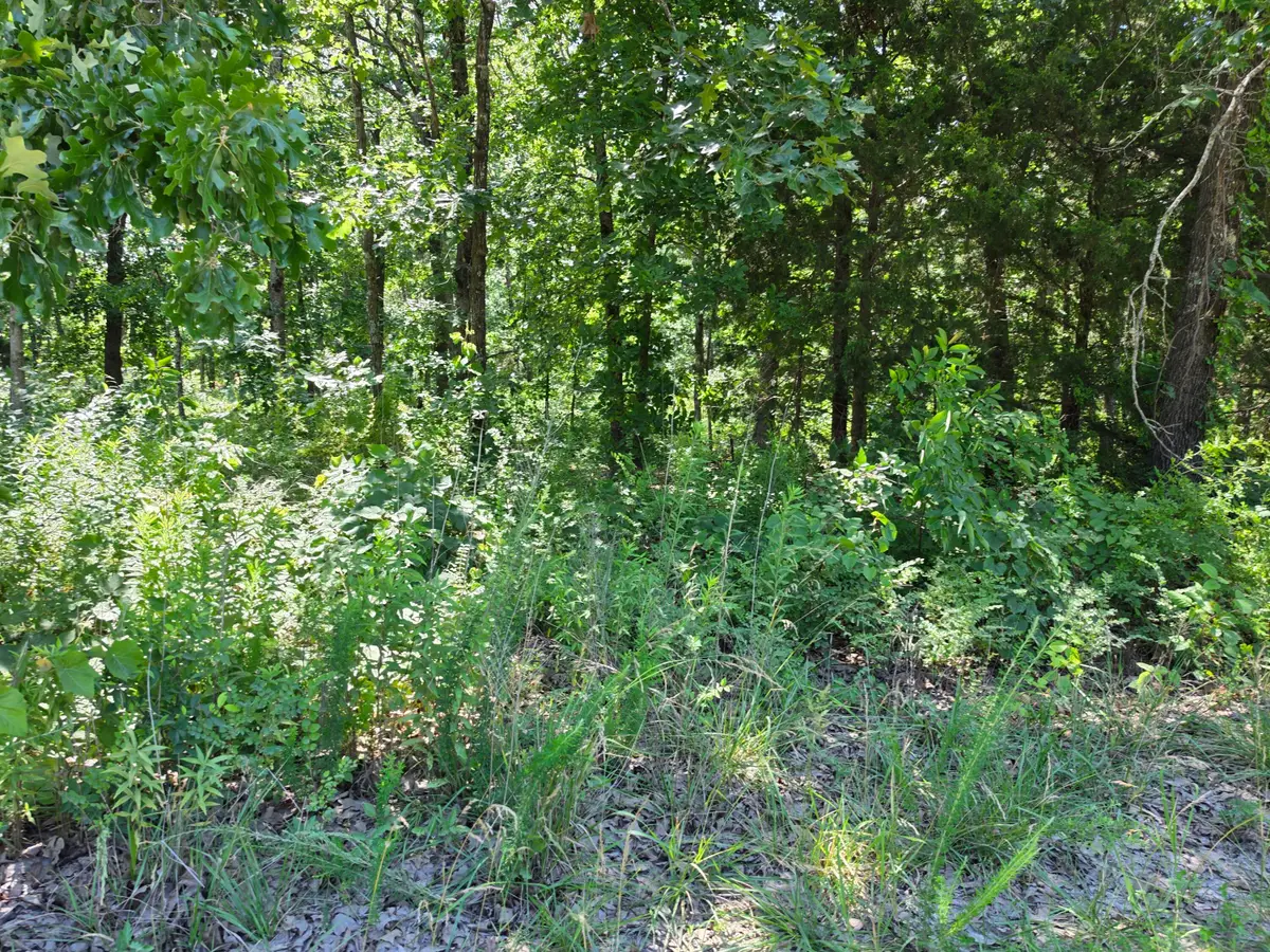 000 Hidden Pond Drive #36, Fordland, MO 65652 - #1