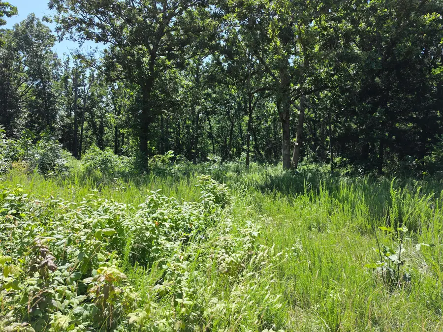 000 Hidden Pond Drive #36, Fordland, MO 65652 - #2