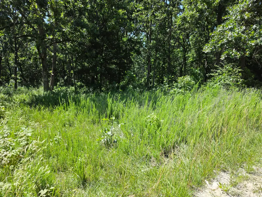 000 Hidden Pond Drive #36, Fordland, MO 65652 - #3
