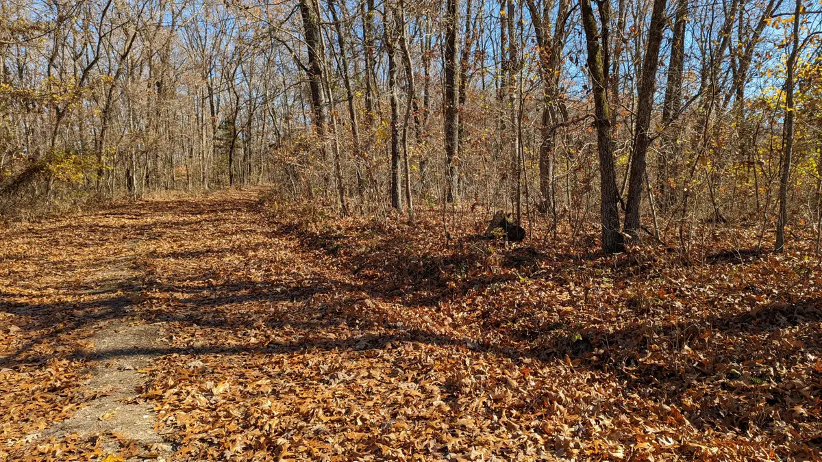 000 Deerfoot Trail, Cape Fair, MO 65624 - #1