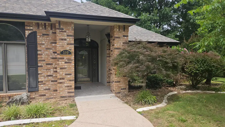 290 Sherwood Drive, Branson, MO 65616 - #3