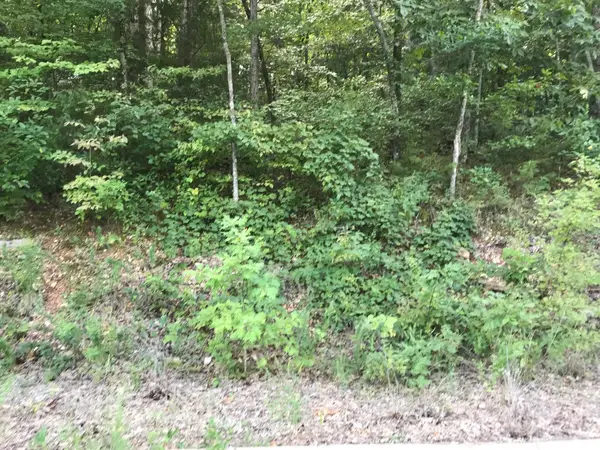 Lot 235 E Crescent Drive, Hollister, MO 65672