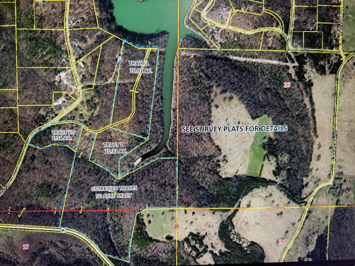 Tract 1 Farm Road 1250, Golden, MO 65658 - #1