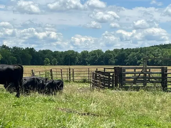 000 W Wilhite Road, Columbia, MO 65202