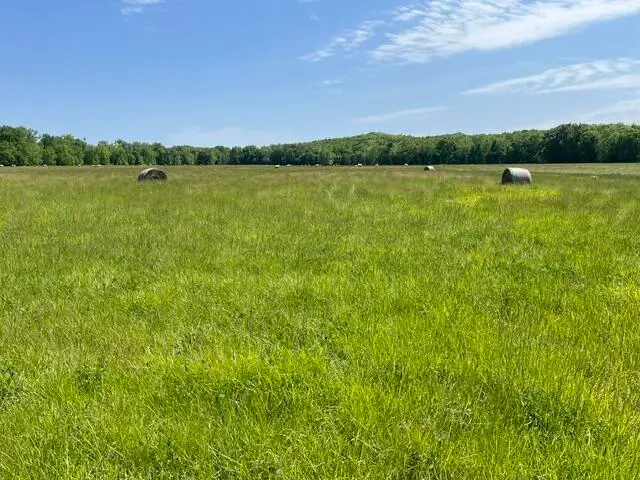 000 W Wilhite Road, Columbia, MO 65202 - #2