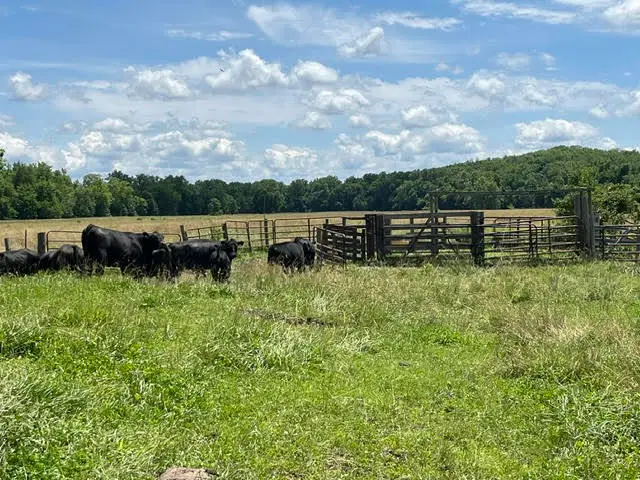 000 W Wilhite Road, Columbia, MO 65202 - #3