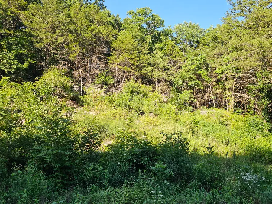 14727 State Hwy 59, Noel, MO 64854 - #3