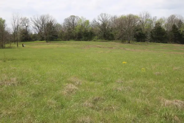 000 River Pass Drive Drive #Lot 6 & 11, Marshfield, MO 65706