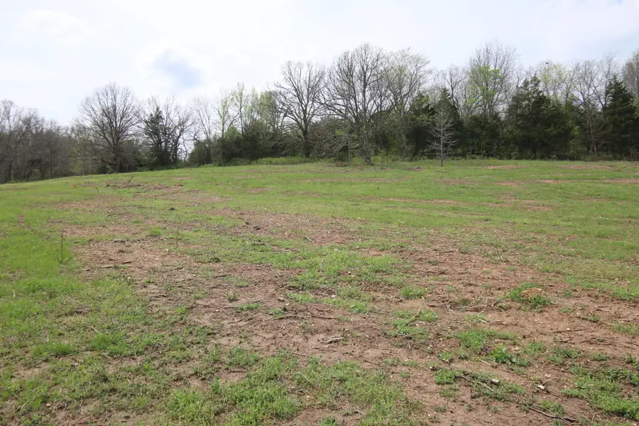 000 River Pass Drive Drive #Lot 6 & 11, Marshfield, MO 65706 - #3