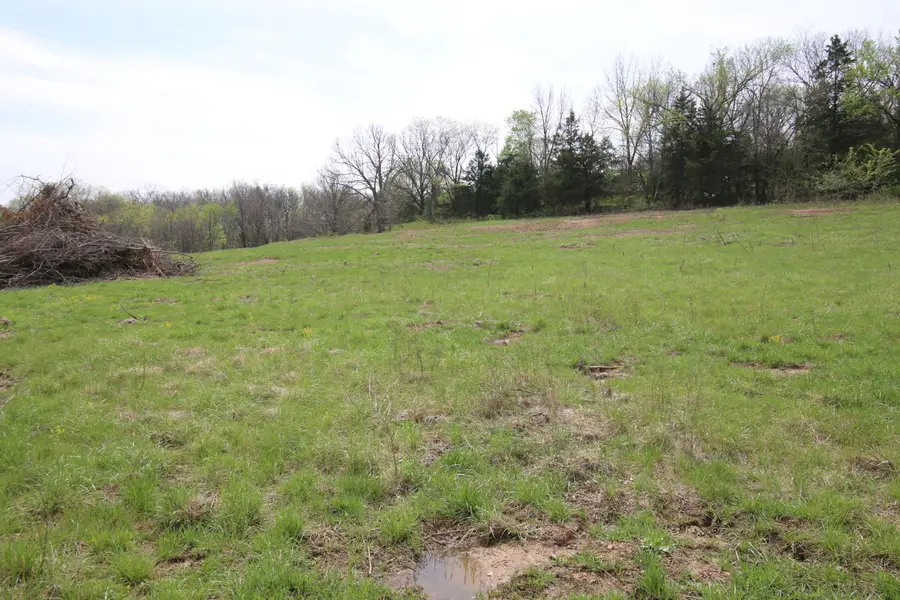 000 River Pass Drive #Lot 6, Marshfield, MO 65706 - #3