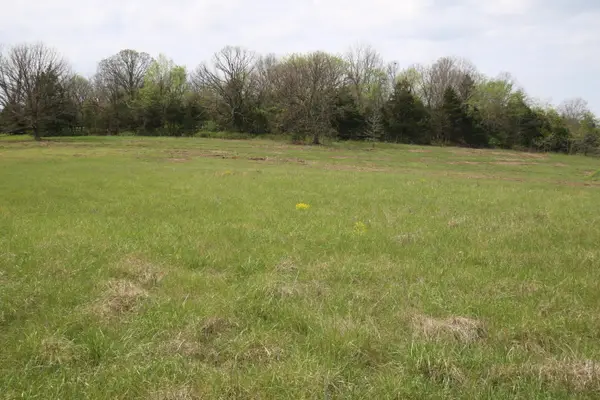 000 River Pass Drive #Lot 11, Marshfield, MO 65706