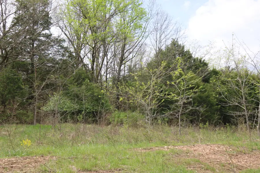000 River Pass Drive #Lot 11, Marshfield, MO 65706 - #3