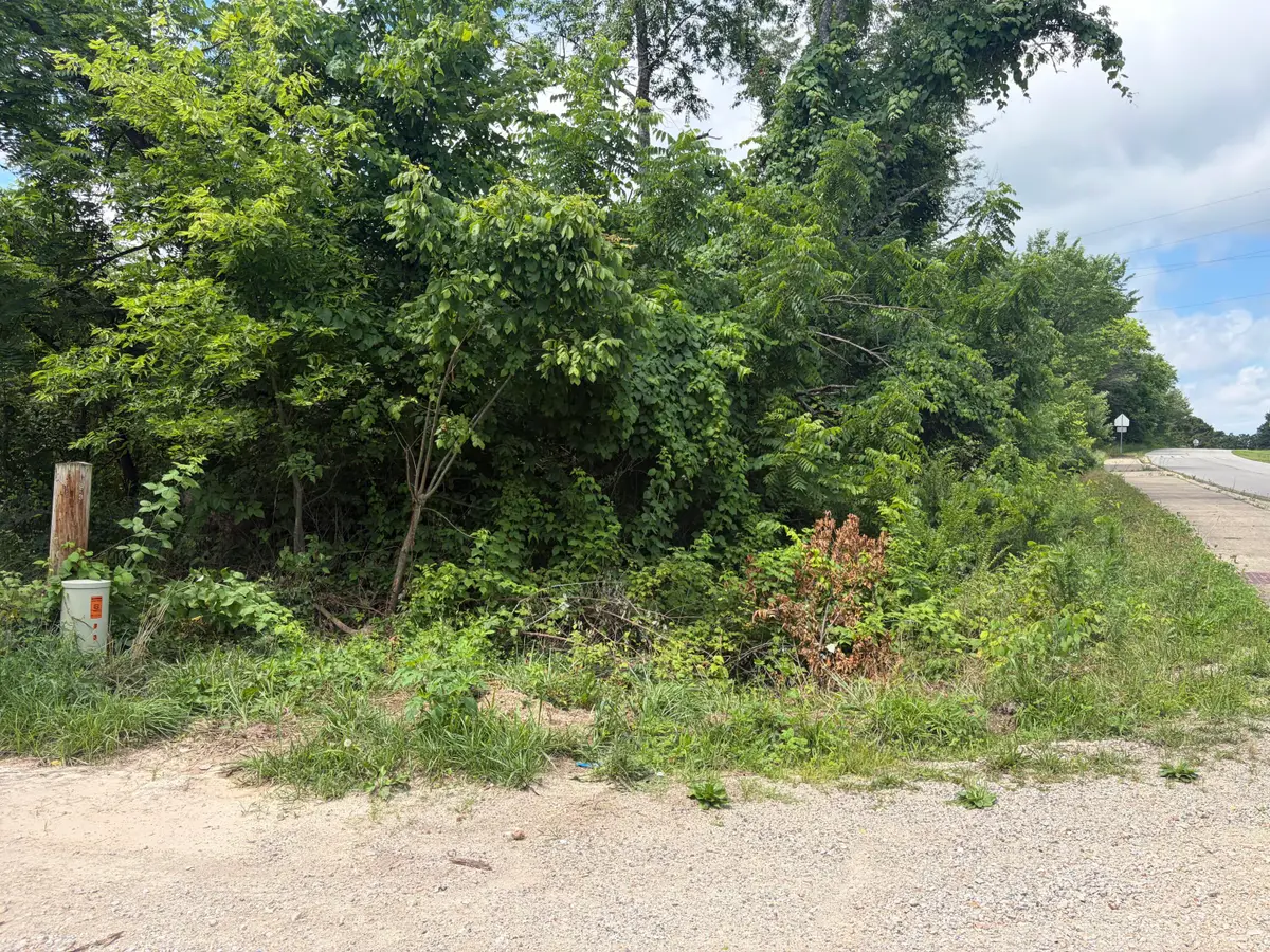 000 Ward Street, Birch Tree, MO 65438 - #1