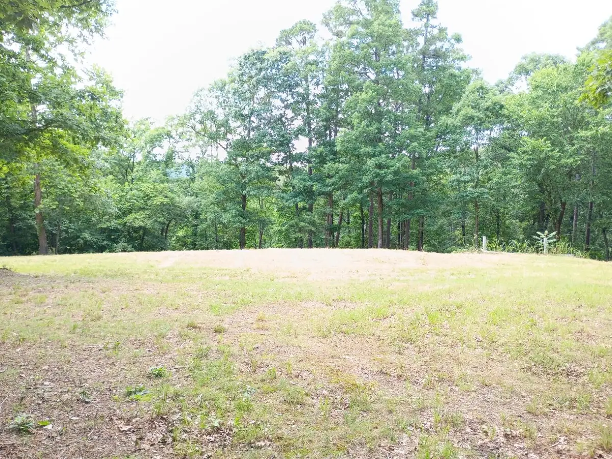 5161 State Highway H, Noel, MO 64854 - #1