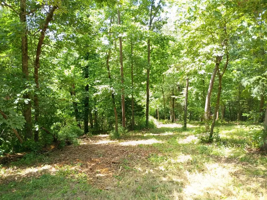 5161 State Highway H, Noel, MO 64854 - #3