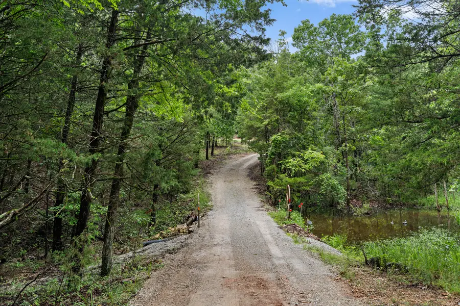 2115 Garrison Cutoff Road, Taneyville, MO 65759 - #3