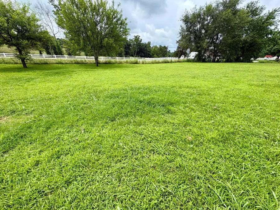 110 N Gymnasium Street, Everton, MO 65646 - #2