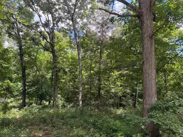 000 Forest Service Road, Birch Tree, MO 65438