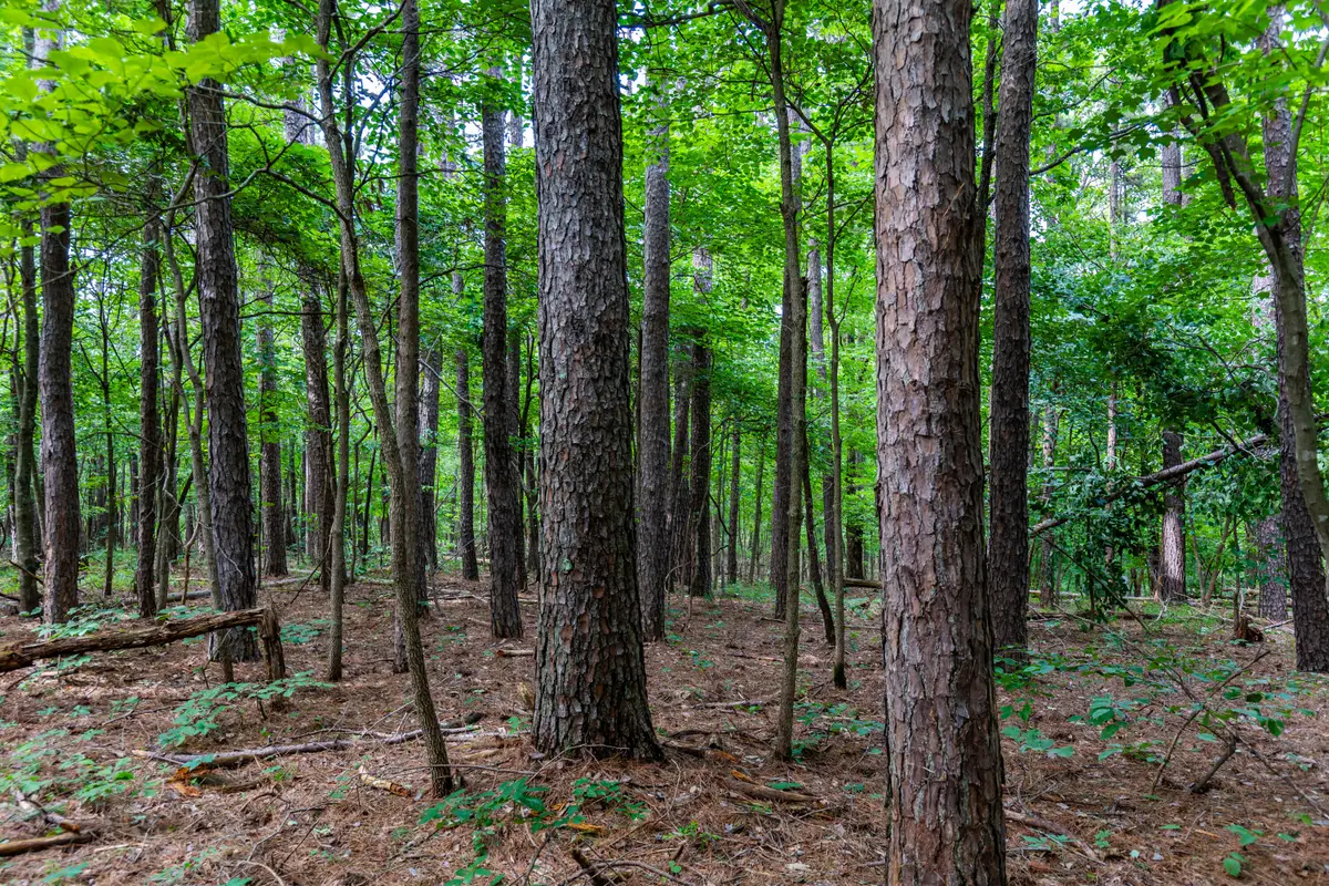000 County Road 1990, Willow Springs, MO 65793 - #1