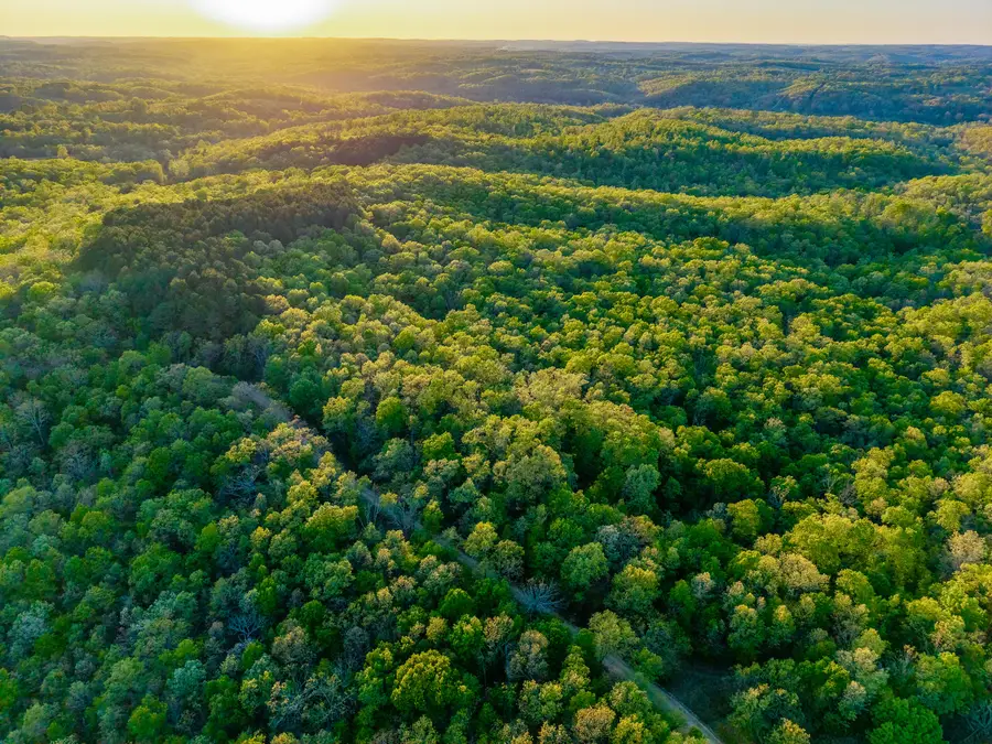 000 County Road 1990, Willow Springs, MO 65793 - #3