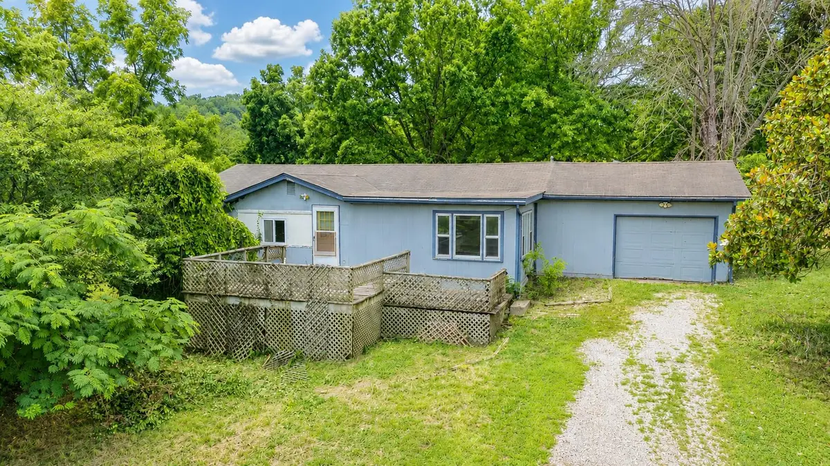 163 Half Moon Road, Cape Fair, MO 65624 - #1