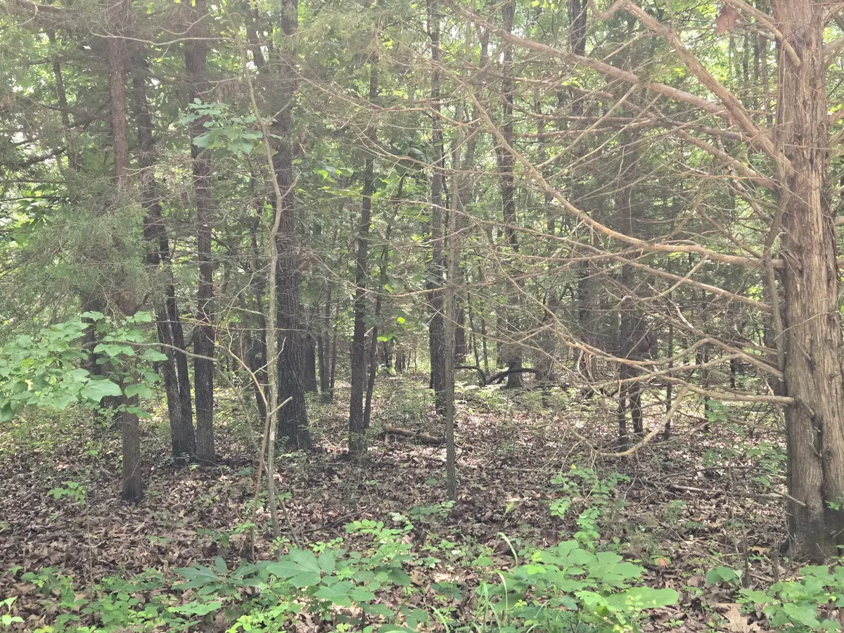 002 Muleshoe Trail #002, Elkland, MO 65644 - #1