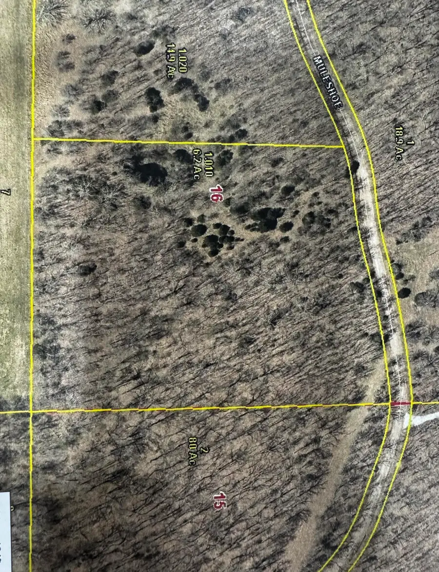 002 Muleshoe Trail #002, Elkland, MO 65644 - #2