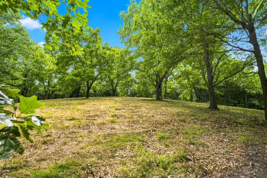 Lot 12f Kingsgate Road, Lampe, MO 65681 - #2