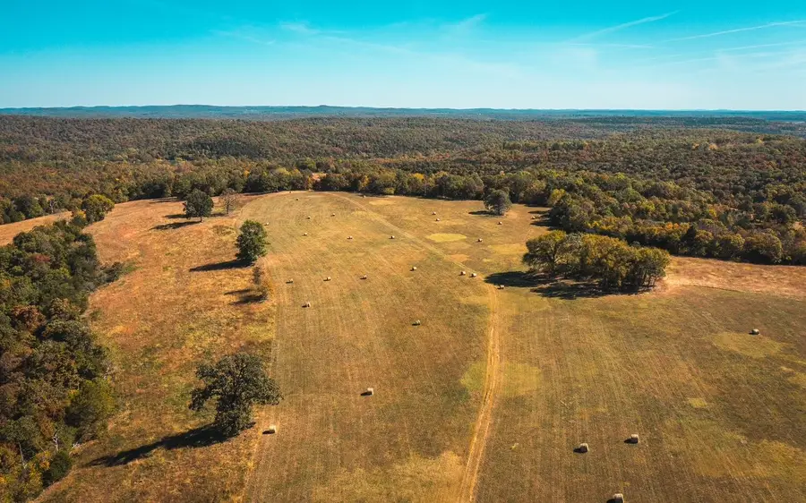 006 Gunnison Road, Kirbyville, MO 65679 - #3
