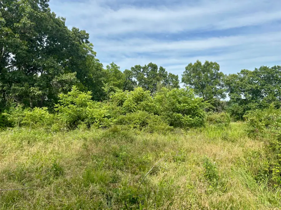 0 N State Hwy 5, Ava, MO 65608 - #3
