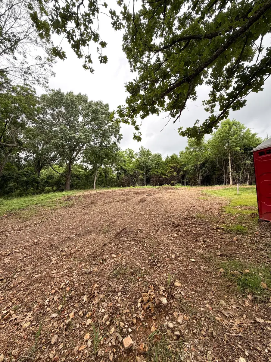 Lot 12 Hanging Branch, Cape Fair, MO 65624 - #2