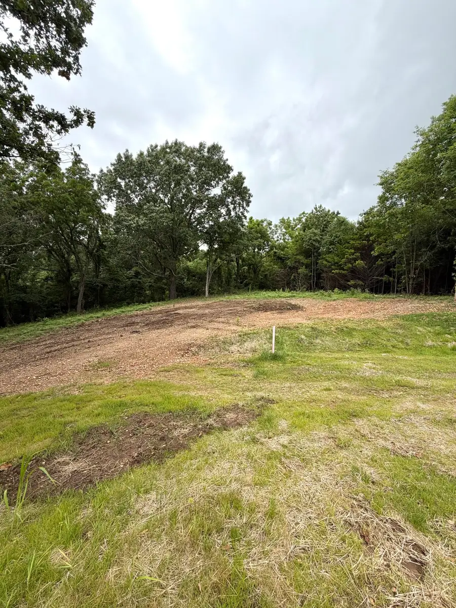 Lot 12 Hanging Branch, Cape Fair, MO 65624 - #3