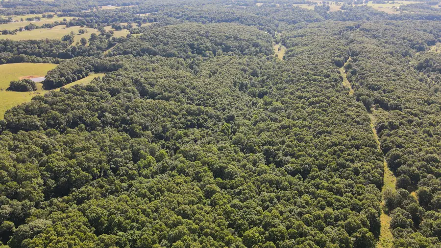 000 Private Drive Off Of Fr 1245, Aurora, MO 65605 - #2