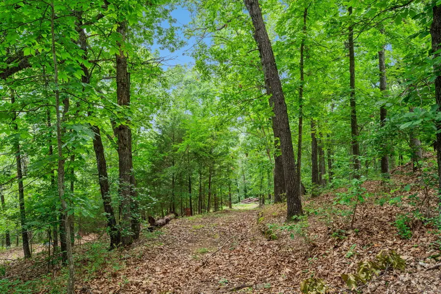 Tbd Wildlife Trail, Branson, MO 65616 - #3