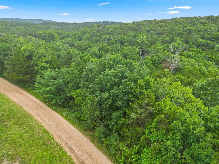 Lot 23 Cedar Reef, Lampe, MO 65681 - #3