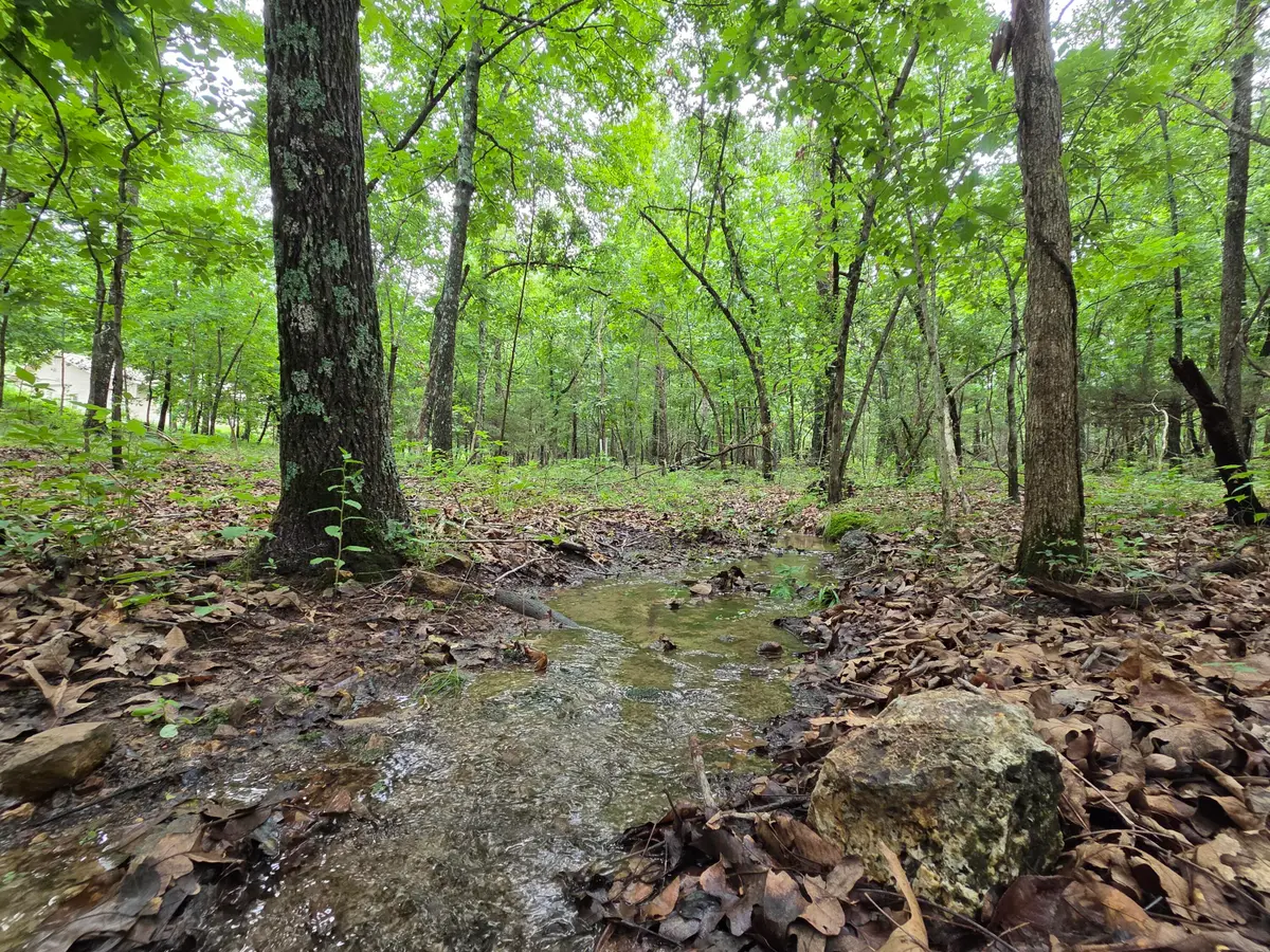 000 Golf Course Road, Marshfield, MO 65706 - #1